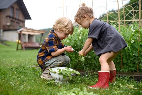 Jardinagem para Crianças_ Atividades Divertidas para os Pequenos Jardineiros