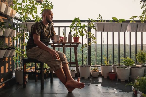 Horta em Casa: Cultive Vegetais Frescos no seu Próprio Quintal