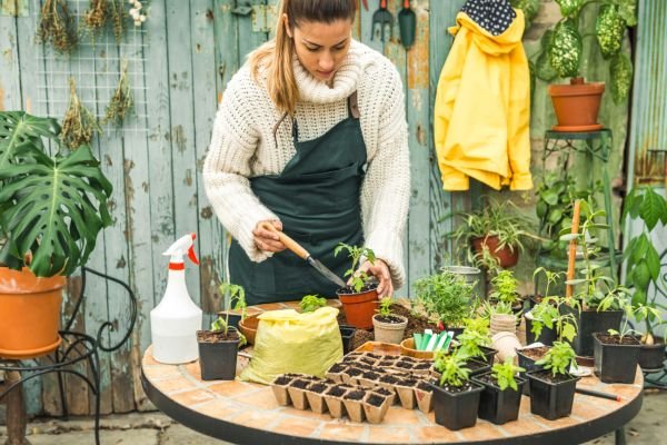 Jardinagem Urbana: Como Criar um Jardim em Espaços Pequenos